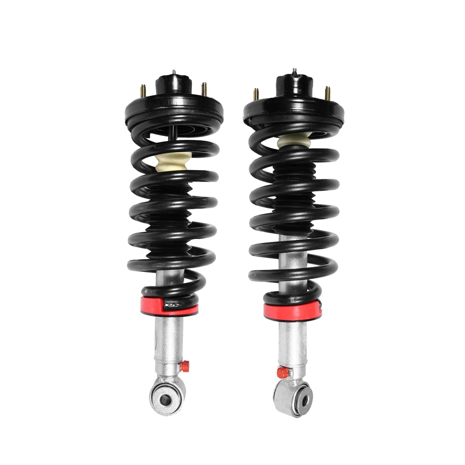 リョウ2 RANRS999903.1_20RANRS999933.1.