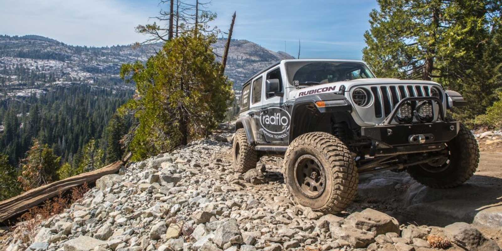 Radflo Shocks