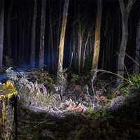 10500070_lighton.jpg