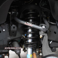 CAM-110078_LS1.jpg