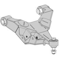 CAM-310165.jpg