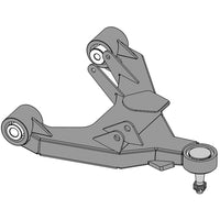 CAM-310166.jpg