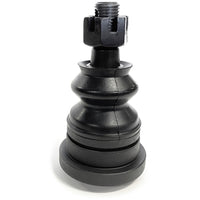 CAM-950152.jpg