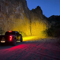 PM411_v7_Raptor Back Amber.jpg