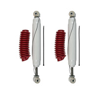 RS55054 x2