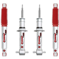 RS999262 x2 RS999784 x2