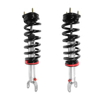 RS999953 x1 RS999954 x1