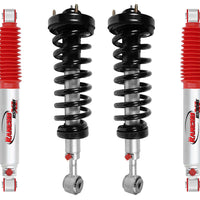 RS999285 x2 RS999909 x2