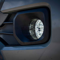V3TO1KWSO_Tacoma LS 2.jpg
